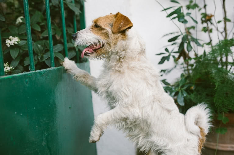Fotógrafos Recién Nacidos Málaga