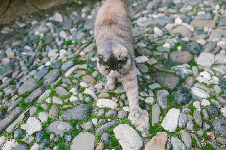 Fotógrafos Recién Nacidos Málaga