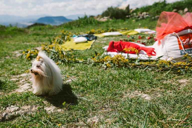 Fotografo Recien Nacidos Embarazo Malaga